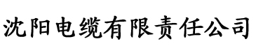 av乱亚洲一区二区三区电缆厂logo